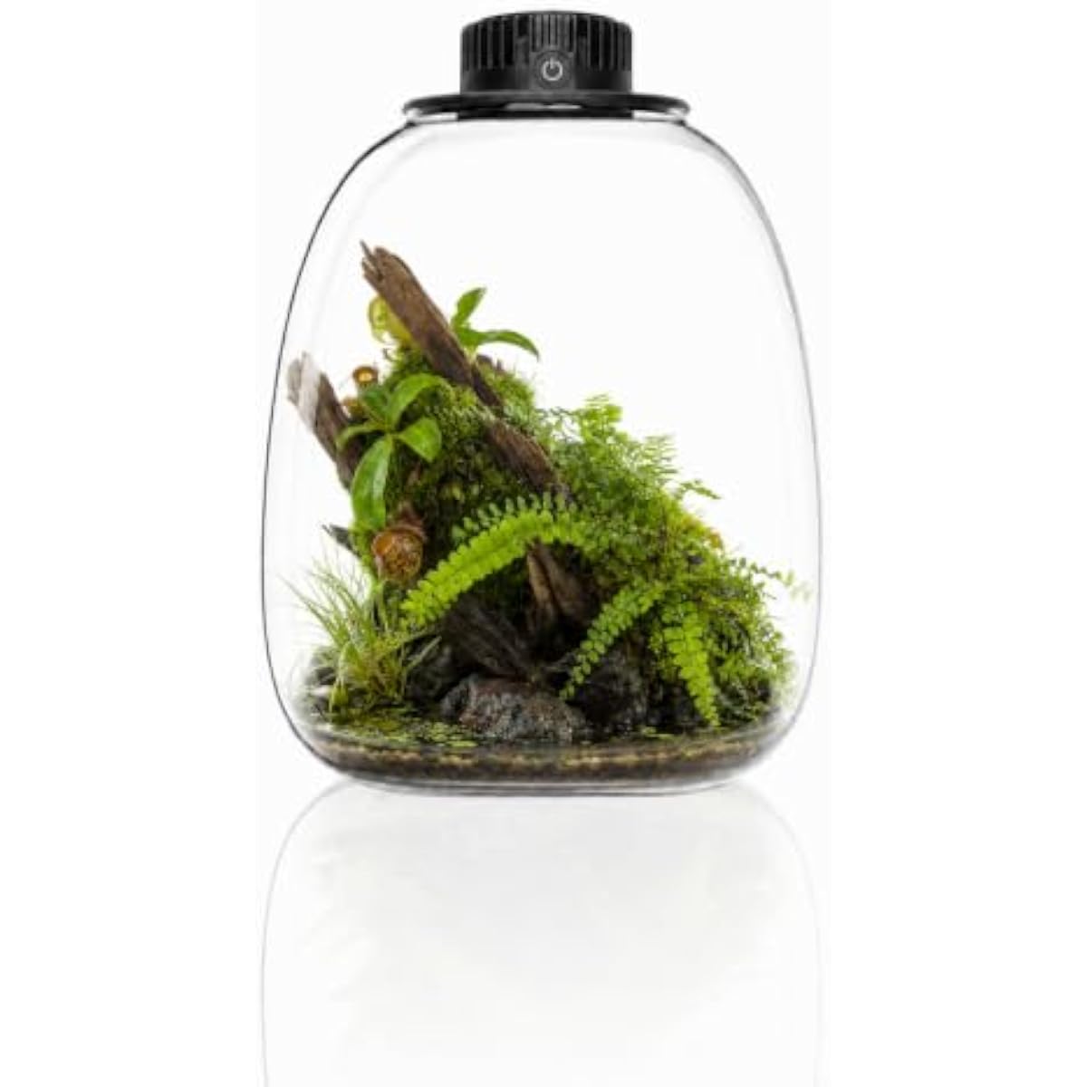 Terrarium Glass Bottle - Runde Bio-Flaschen-Terrarien mit einstellbarem Belüftungssystem, USB-betriebener