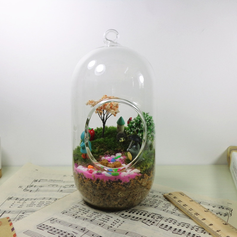 2 Stück/Packung 10*20cm Großes – Terrarium Glass Bottle Bewertung und Preis