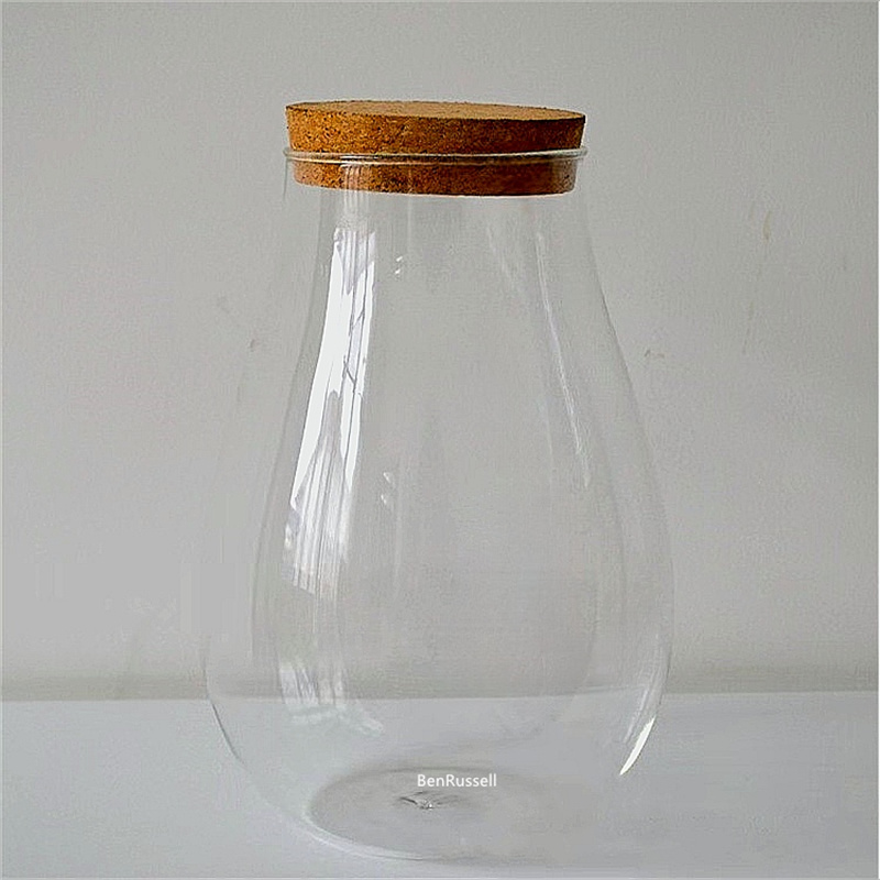 Gläser in Wassertropfenform, M – Terrarium Glass Bottle Bewertung und Preis