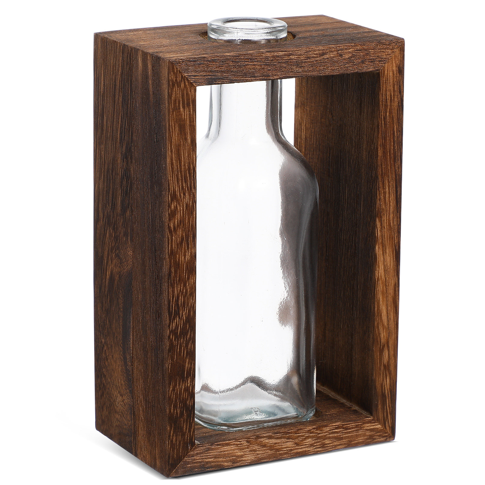 1 Set Terrarium-Flasche aus kl – Terrarium Glass Bottle Bewertung und Preis