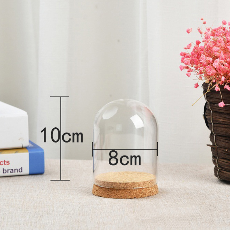 Glaskuppelabdeckung für Blumen – Terrarium Glass Bottle Bewertung und Preis