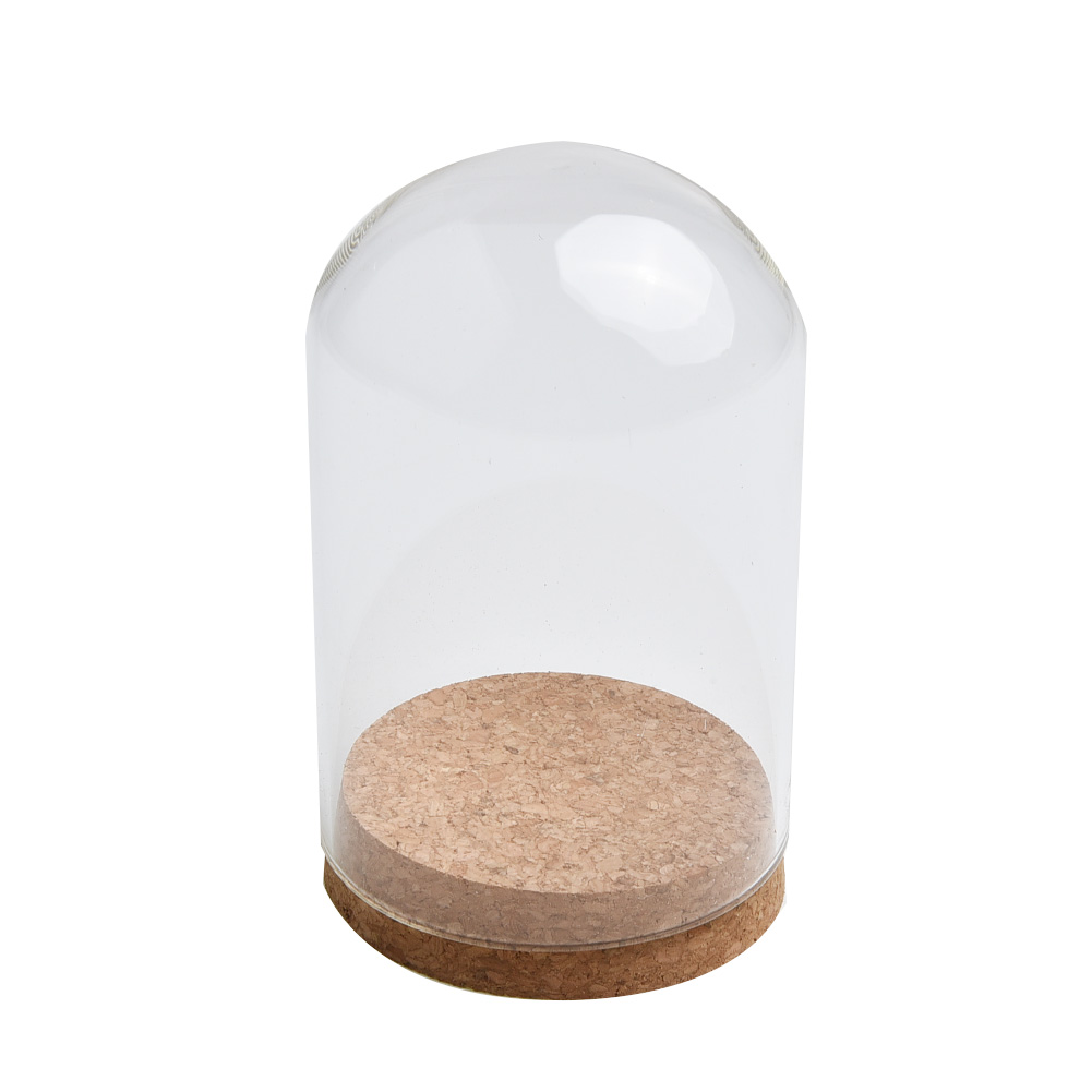 Glaskuppelabdeckung für Blumen – Terrarium Glass Bottle Bewertung und Preis