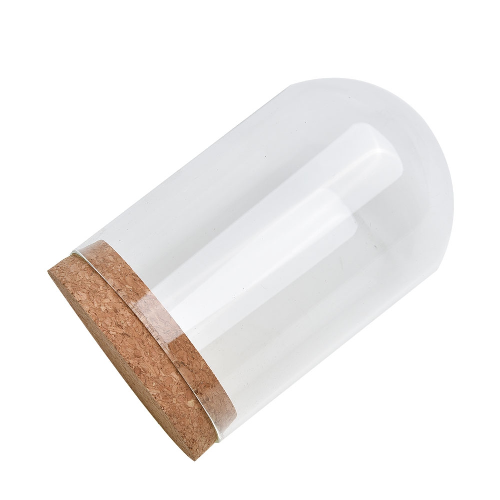 Glaskuppelabdeckung für Blumen – Terrarium Glass Bottle Bewertung und Preis