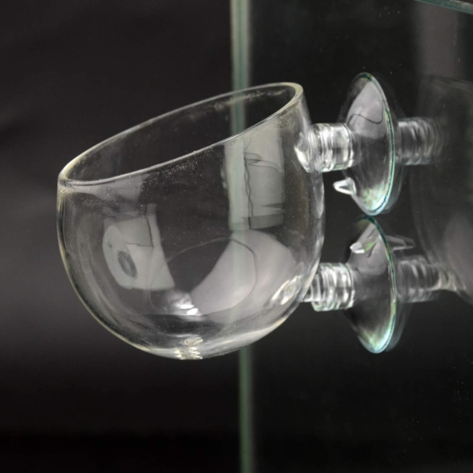Aquarium-Pflanzenhalter Glas-W – Terrarium Glass Bottle Bewertung und Preis