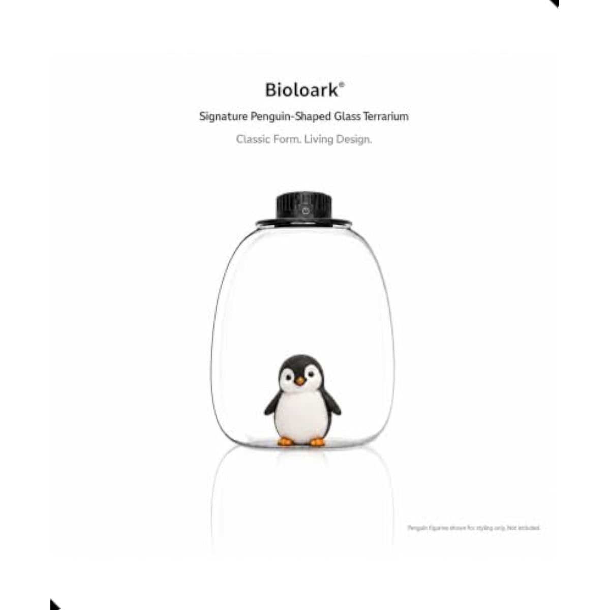 Runde Bio-Flaschen-Terrarien m – Terrarium Glass Bottle Bewertung und Preis