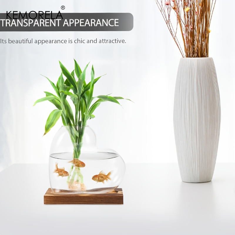 Liebe Hydrokultur Vase 1/2PCS  – Terrarium Glass Bottle Bewertung und Preis