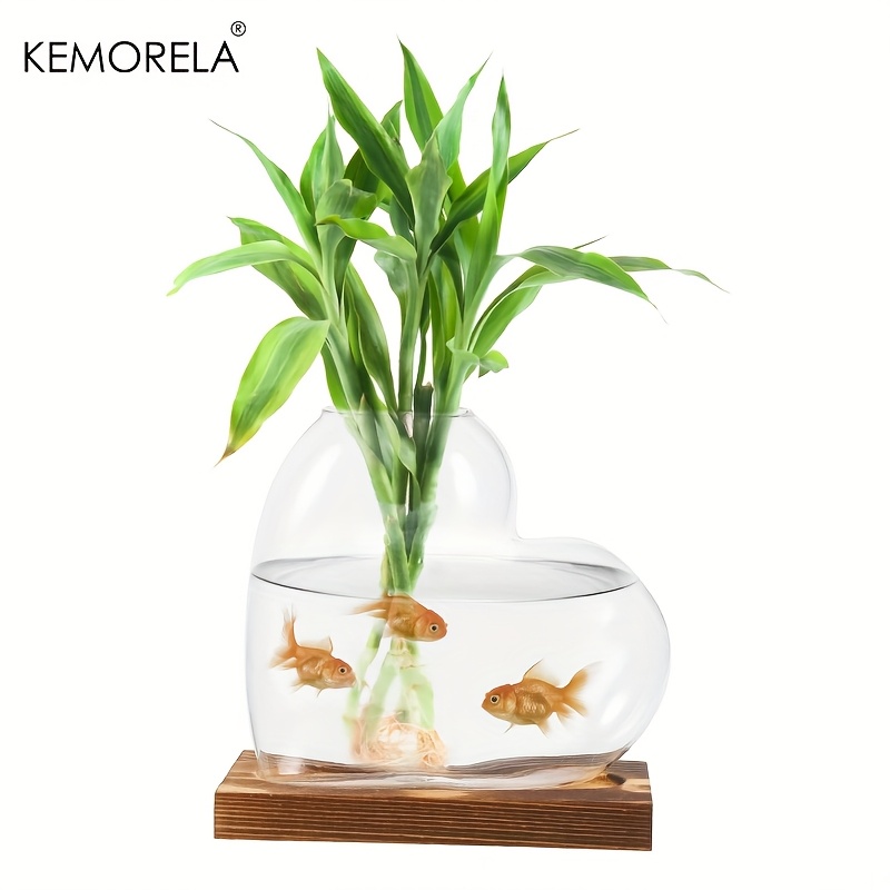 Liebe Hydrokultur Vase 1/2PCS  – Terrarium Glass Bottle Bewertung und Preis