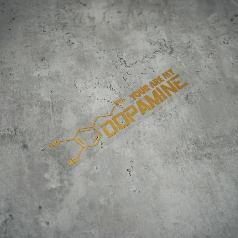 2 Stück „You Are My Dopamine“  – Home Decor Dopamine Bewertung und Preis