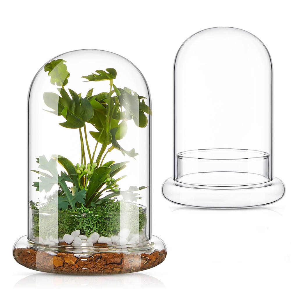Glaskuppel mit Luftloch Glasgl – Terrarium Glass Bottle Bewertung und Preis