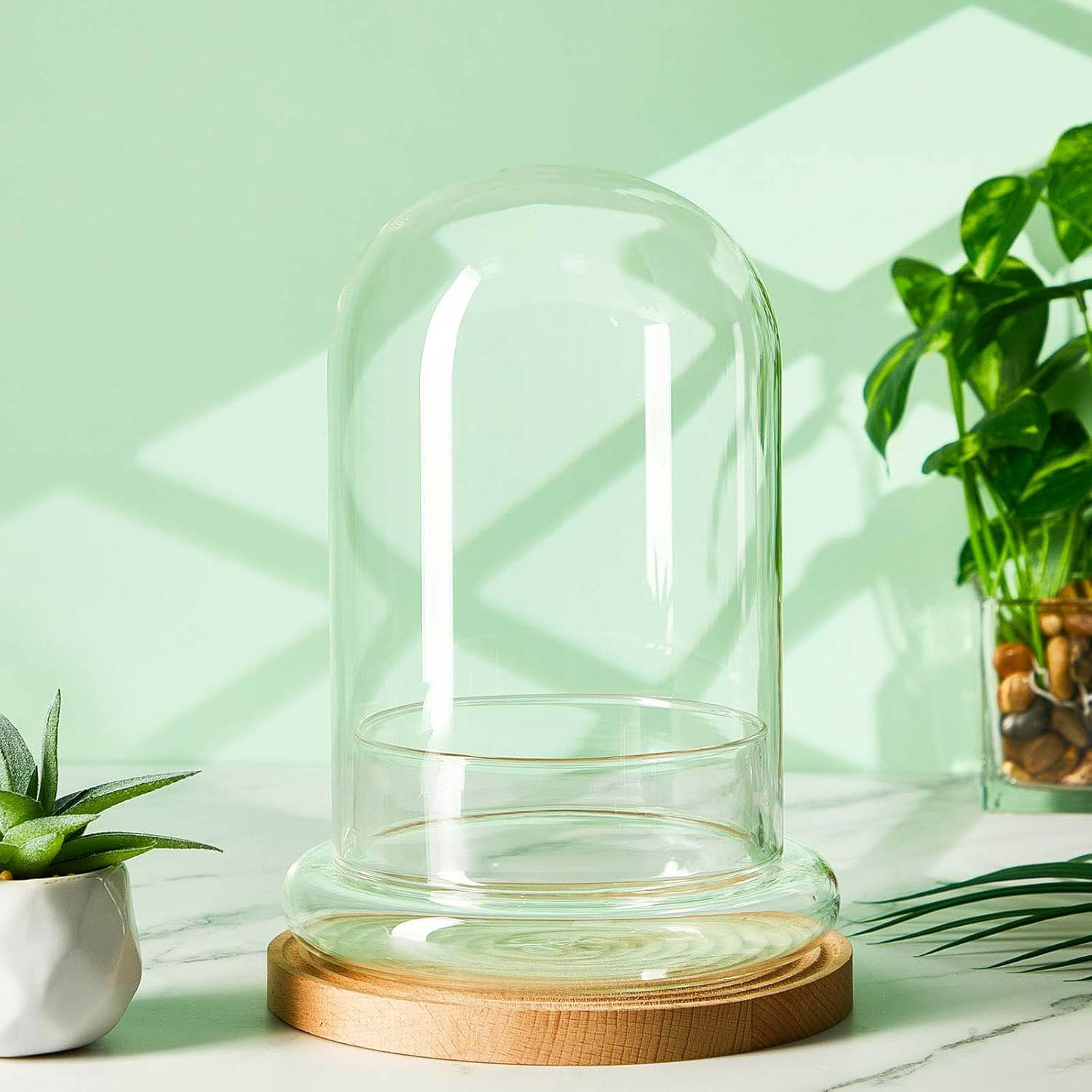 Glaskuppel mit Luftloch Glasgl – Terrarium Glass Bottle Bewertung und Preis