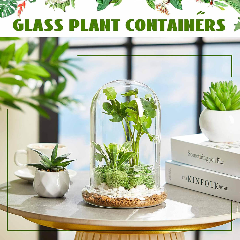 Glaskuppel mit Luftloch Glasgl – Terrarium Glass Bottle Bewertung und Preis