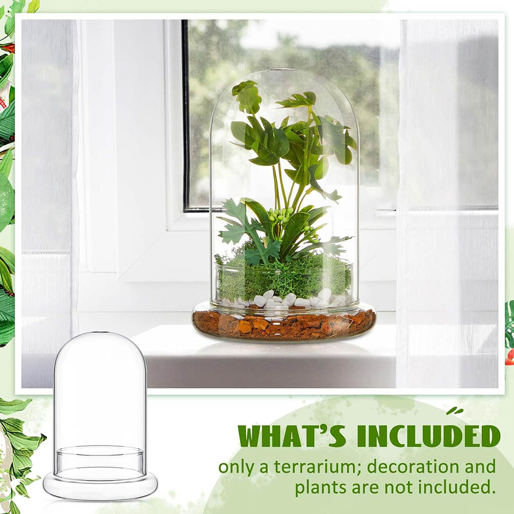 Glaskuppel mit Luftloch Glasgl – Terrarium Glass Bottle Bewertung und Preis