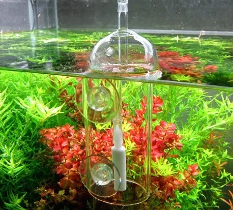VIV Do Device Aquarium-Zylinde – Terrarium Glass Bottle Bewertung und Preis