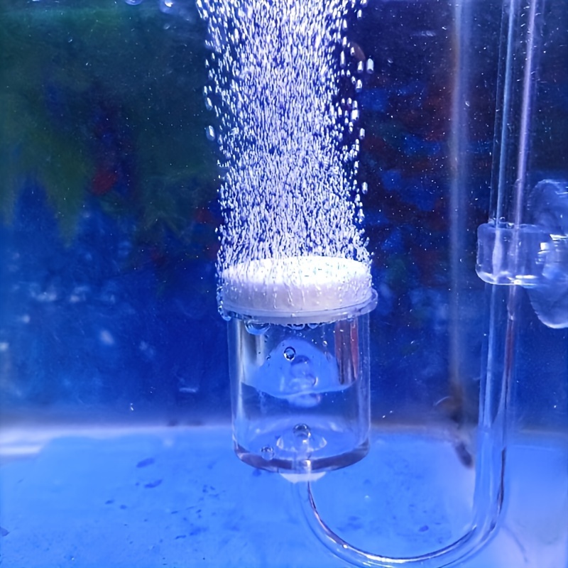 Aquarium Glas CO2 Zerstäuber D – Terrarium Glass Bottle Bewertung und Preis