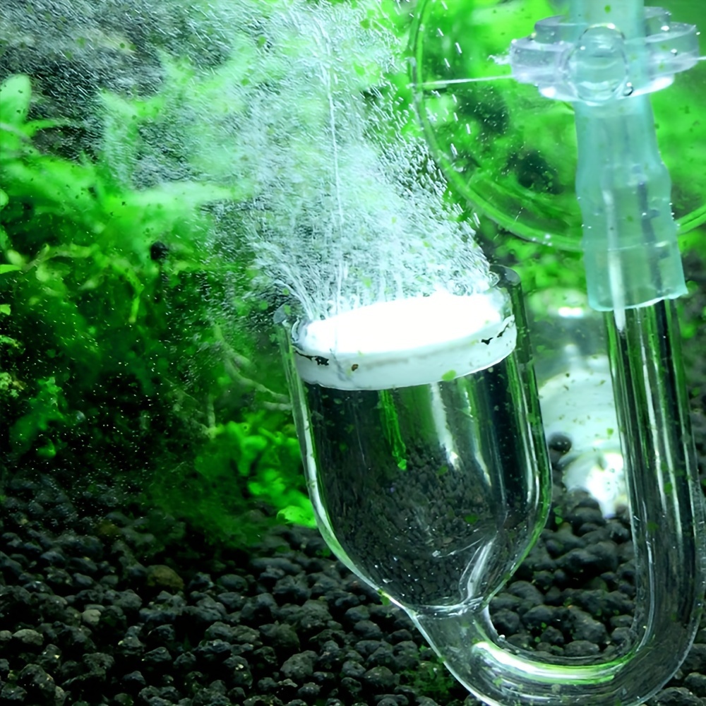 Aquarium Glas CO2 Zerstäuber D – Terrarium Glass Bottle Bewertung und Preis