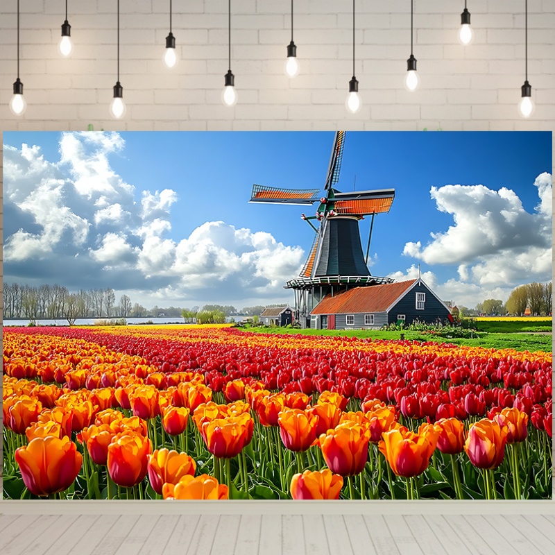 Windmühle, Tulpenfeld, Niederl – Home Decor Netherlands Bewertung und Preis