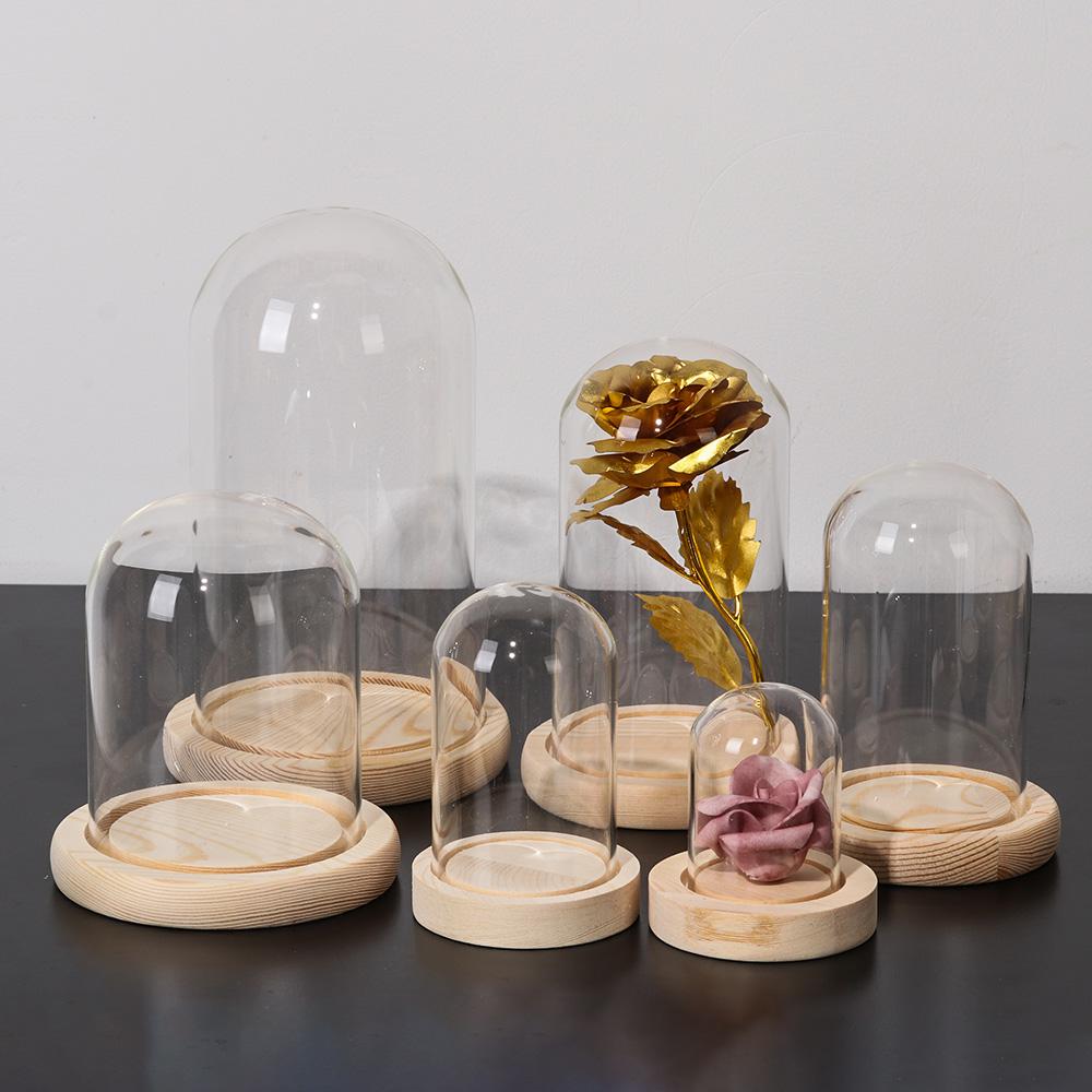 Terrarium Tischdeko Feenlichte – Terrarium Glass Bottle Bewertung und Preis