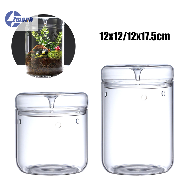 Neu! Mikro-Landschafts-Glasfla – Terrarium Glass Bottle Bewertung und Preis