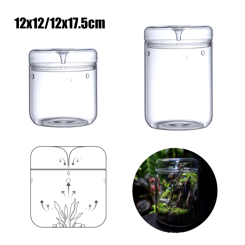 Neu! Mikro-Landschafts-Glasfla – Terrarium Glass Bottle Bewertung und Preis
