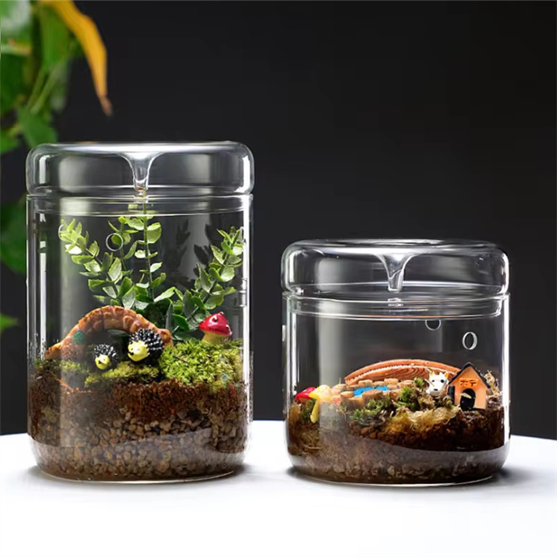 Neu! Mikro-Landschafts-Glasfla – Terrarium Glass Bottle Bewertung und Preis