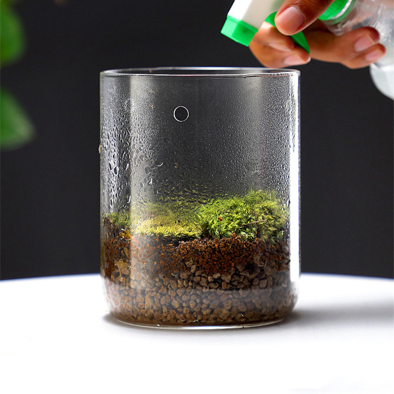 Neu! Mikro-Landschafts-Glasfla – Terrarium Glass Bottle Bewertung und Preis