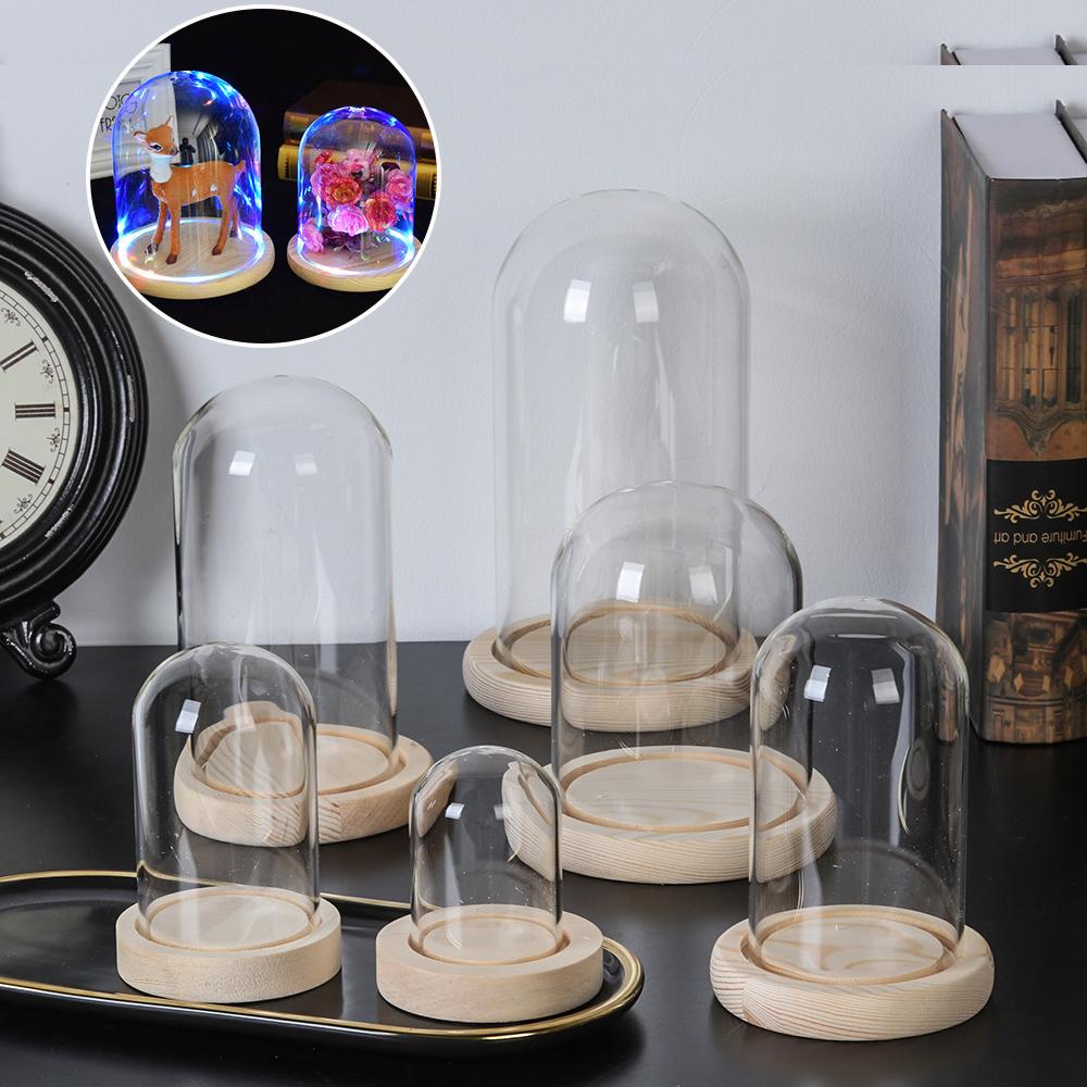 Glas Cloche Jar Display Stand  – Terrarium Glass Bottle Bewertung und Preis