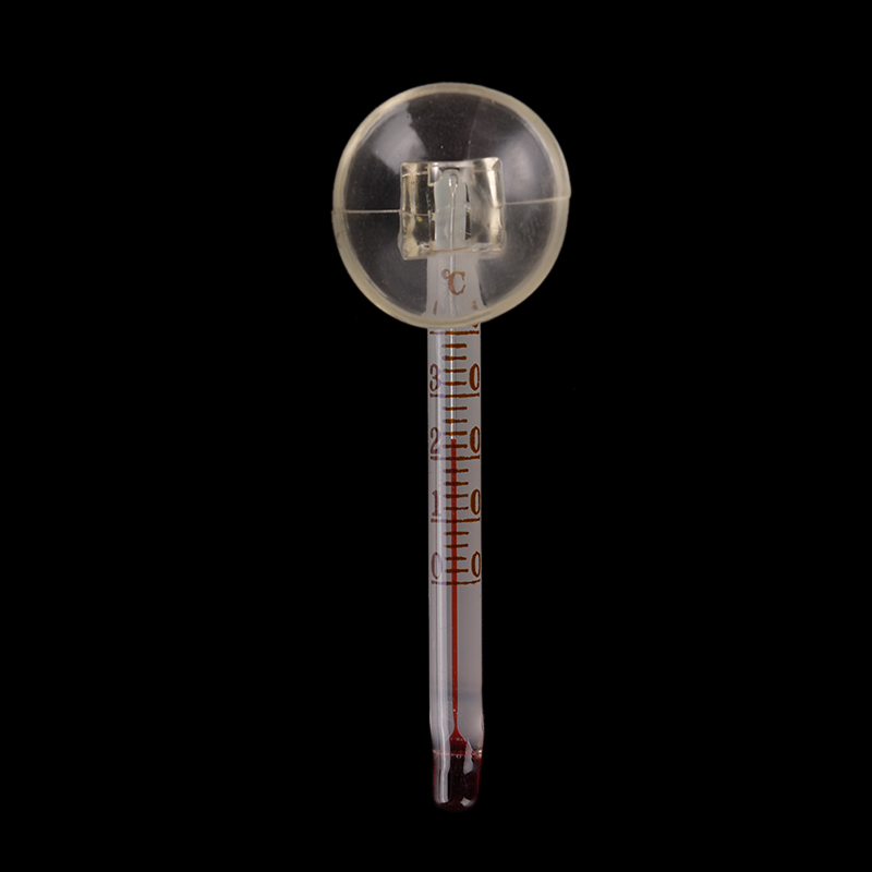 Glas-Thermometer für Aquarien  – Terrarium Glass Bottle Bewertung und Preis
