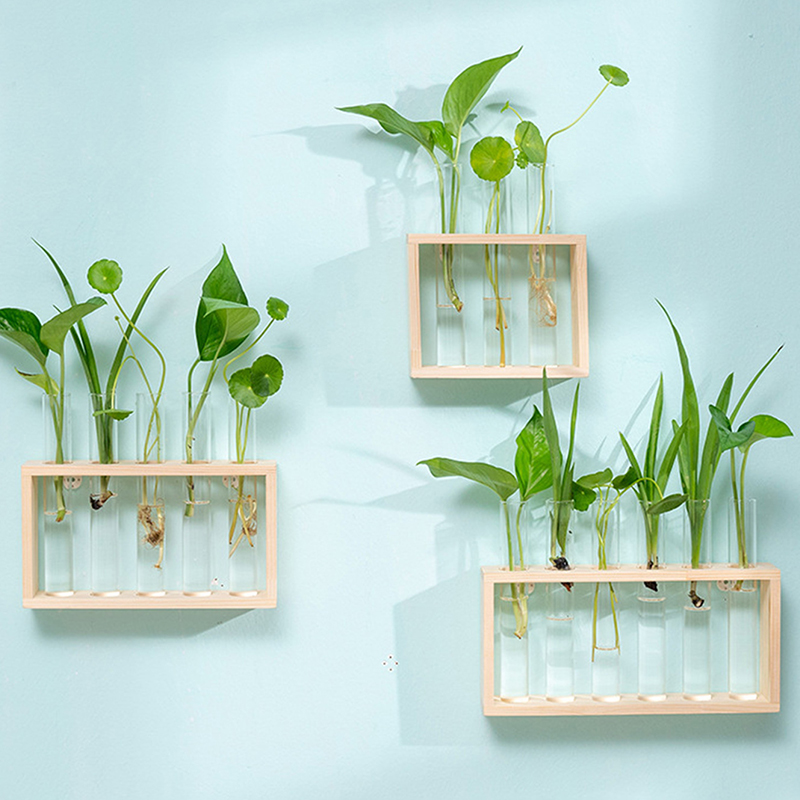 Hydrokultur-Pflanzenbehälter m – Terrarium Glass Bottle Bewertung und Preis