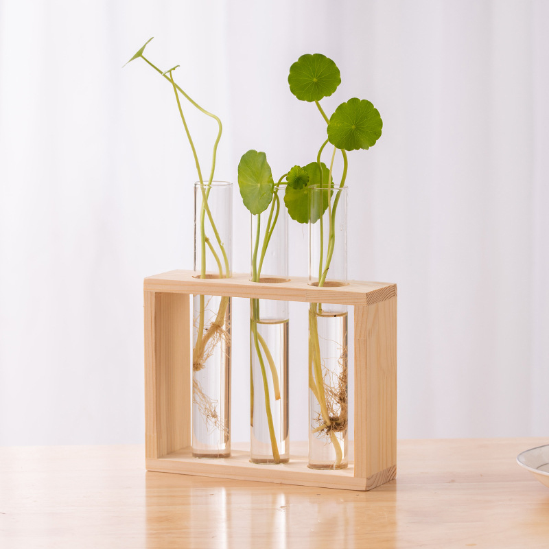 Hydrokultur-Pflanzenbehälter m – Terrarium Glass Bottle Bewertung und Preis