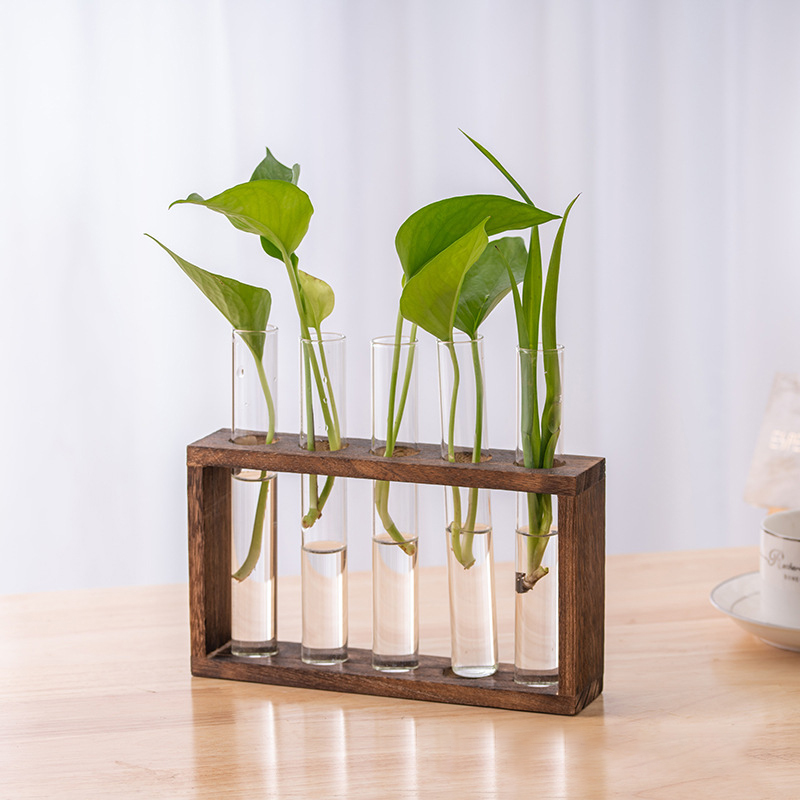 Hydrokultur-Pflanzenbehälter m – Terrarium Glass Bottle Bewertung und Preis