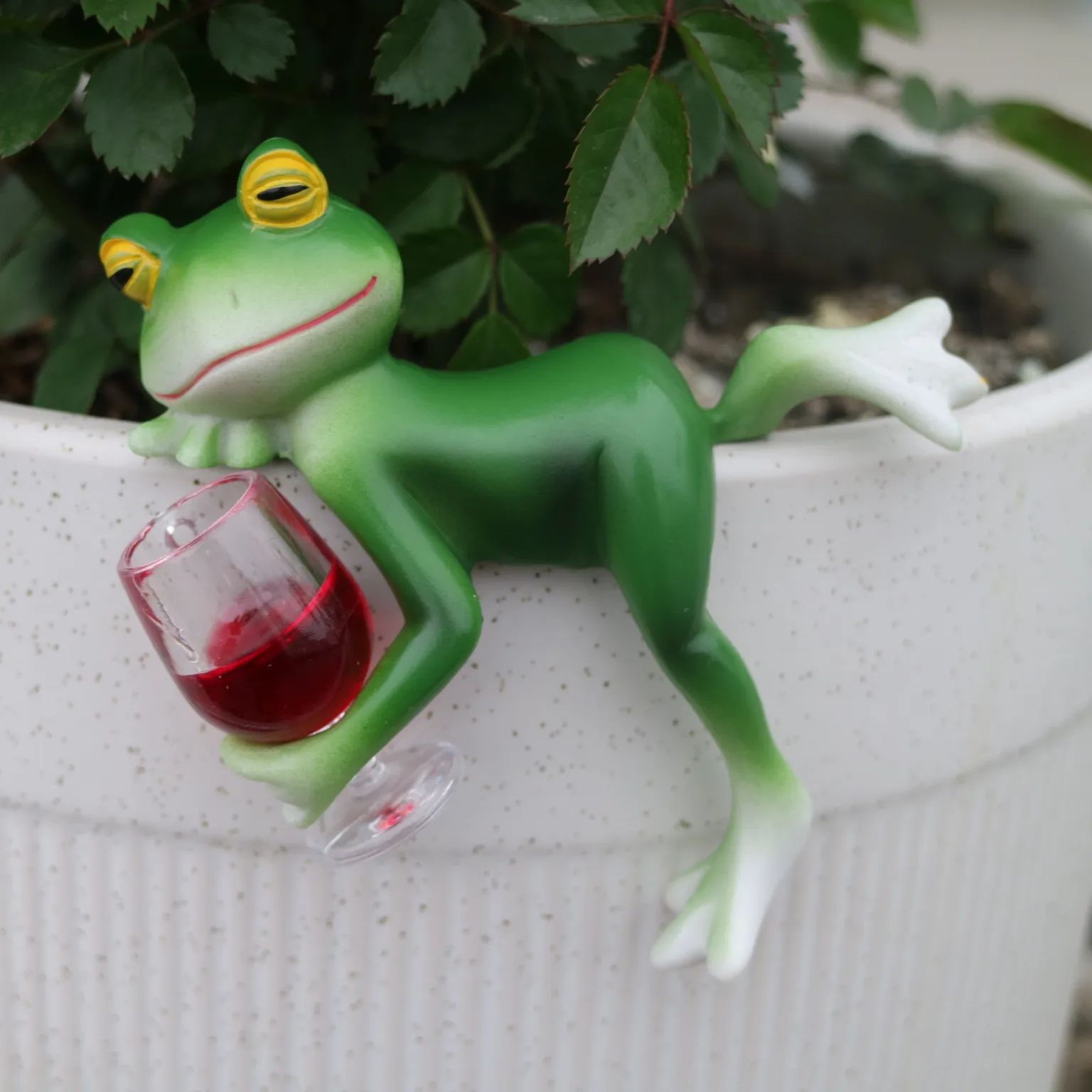 Ein entzückendes grünes Frosch – Terrarium Glass Bottle Bewertung und Preis