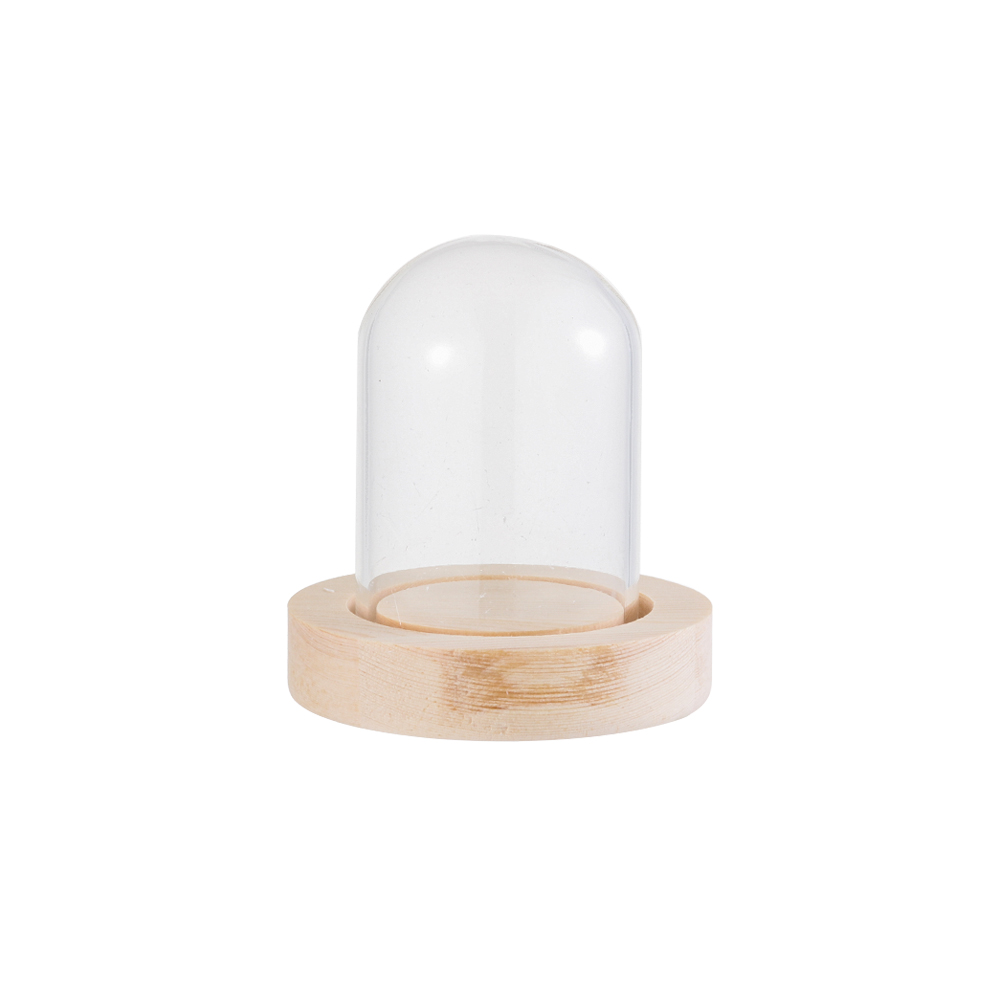 Lichterketten Heimdekoration T – Terrarium Glass Bottle Bewertung und Preis
